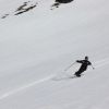 IMG 2975