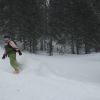 лесные покатушки