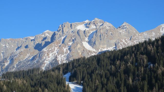 IMG 0085
