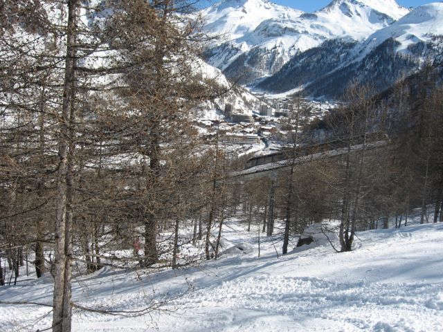 IMG 0694