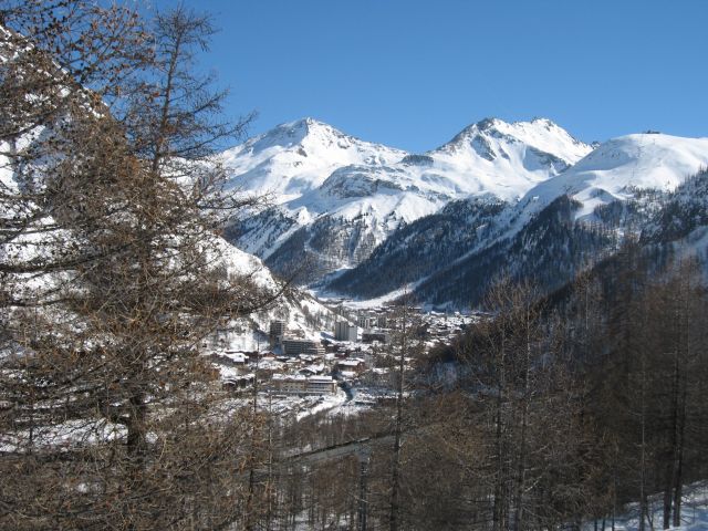 IMG 0695