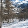 IMG 0694