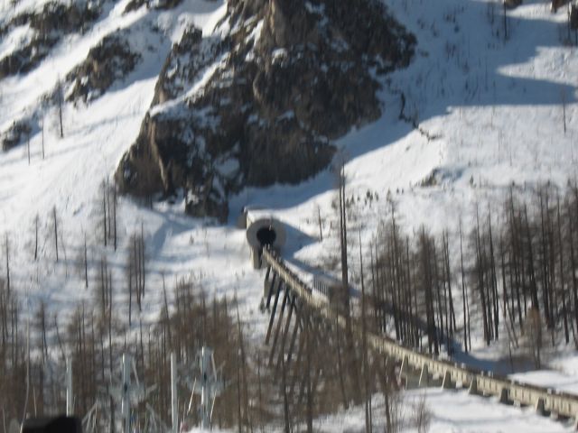 IMG 0729