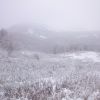 DSC 0022