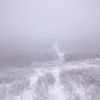 DSC 0018