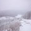 DSC 0021