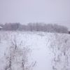 DSC 0019