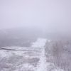 DSC 0024