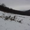 DSC 5894