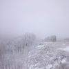 DSC 0025