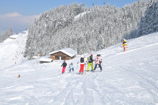 DSC 0021