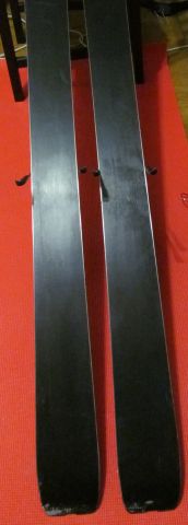 elanspiretail