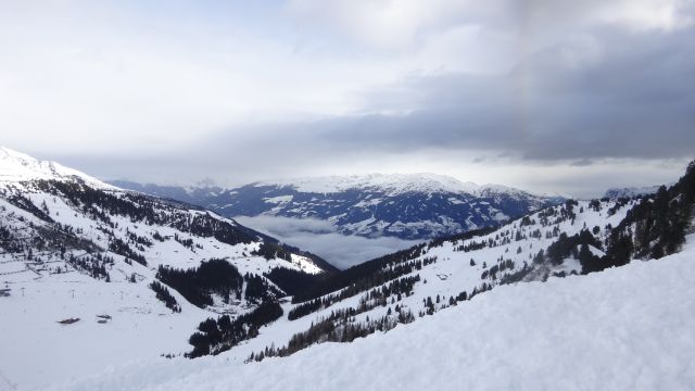 DSC09095