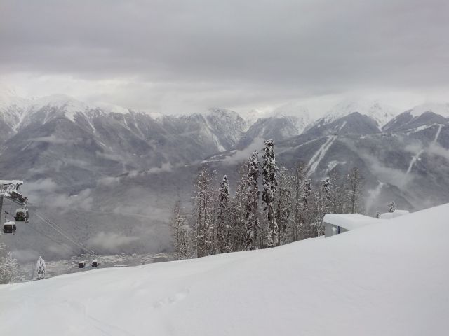 IMG 20150104 103840