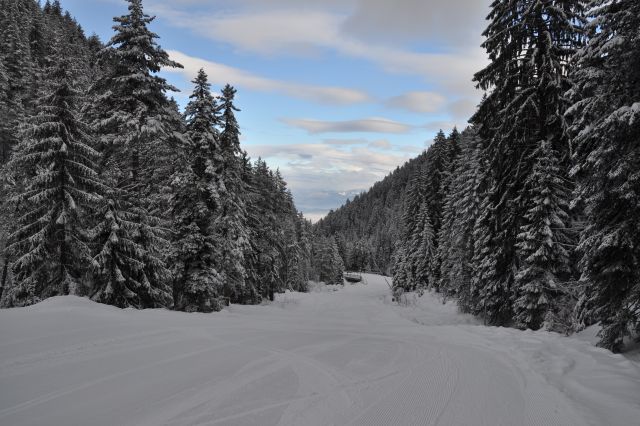 DSC 0064