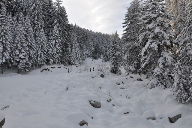 DSC 0199