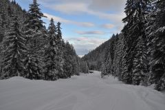 DSC 0064