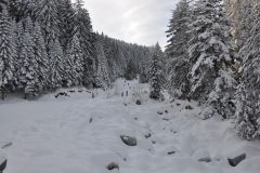 DSC 0199
