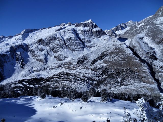 DSC04268