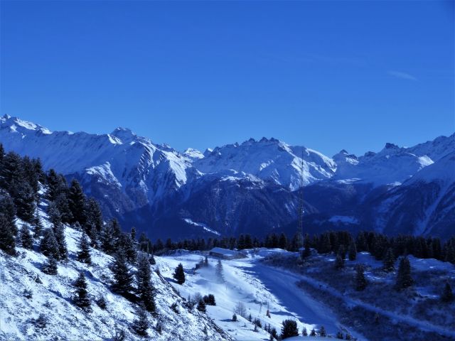DSC04223