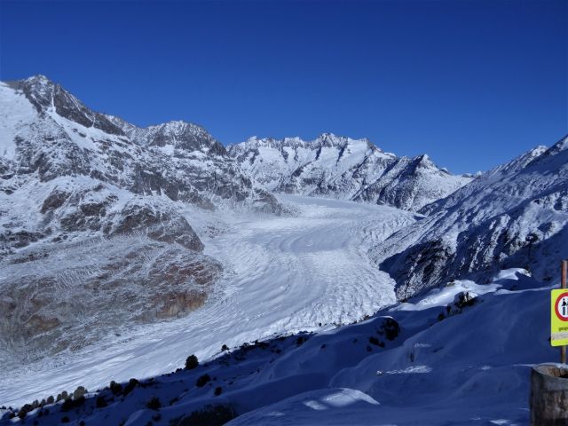 DSC04238