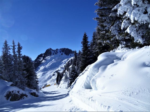 DSC04276
