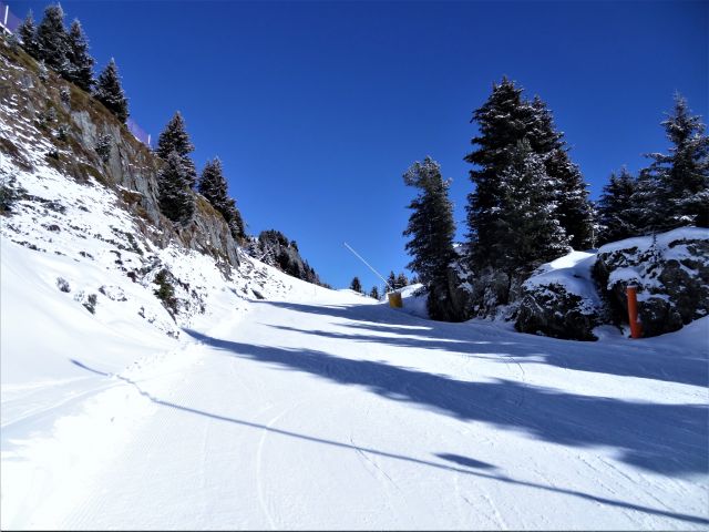DSC04271