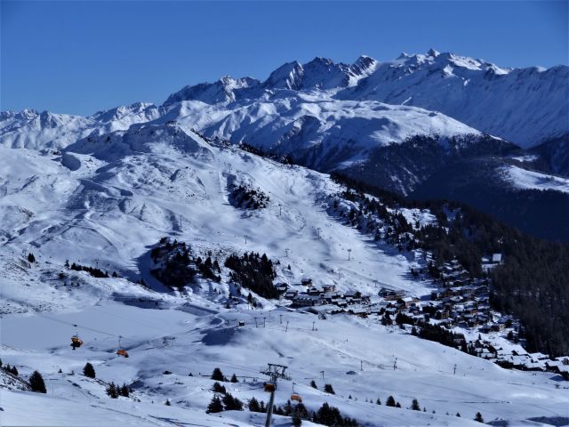 DSC04229