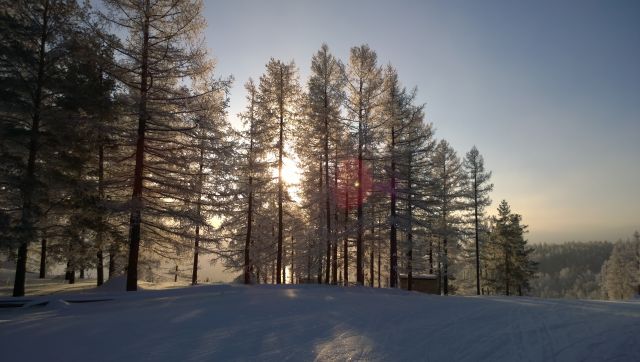 WP 20161202 10 21 30 Pro  highres