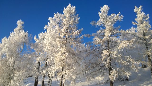 WP 20161202 10 24 24 Pro  highres