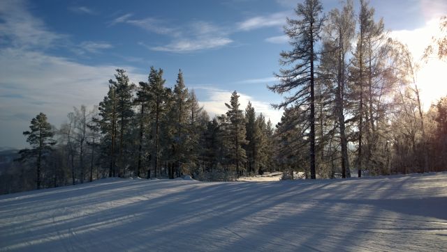 WP_20161209_14_33_58_Pro__highres.jpg