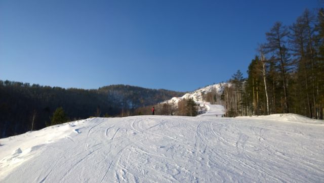 WP 20161208 12 00 34 Pro  highres