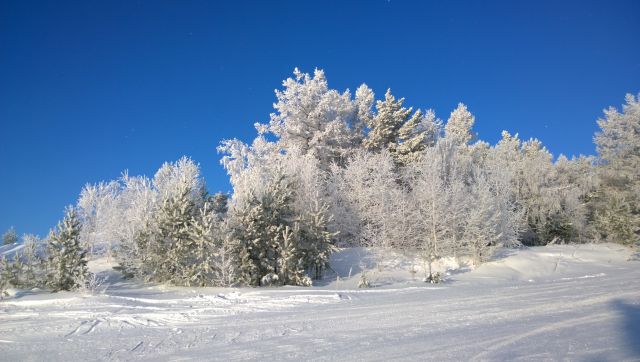 WP 20161202 10 36 50 Pro  highres