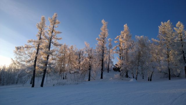 WP 20161202 15 59 09 Pro  highres