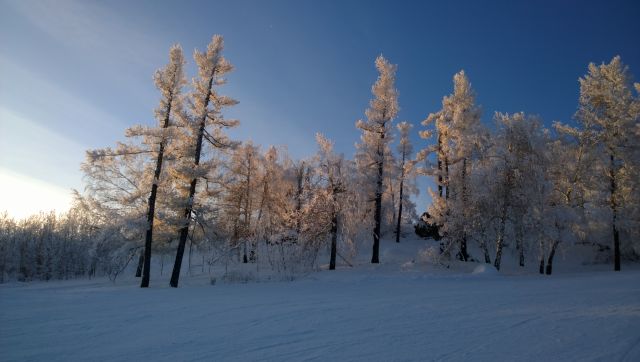 WP 20161202 15 59 03 Pro  highres