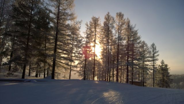 WP 20161202 10 21 40 Pro  highres