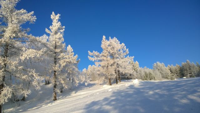 WP 20161202 10 25 05 Pro  highres