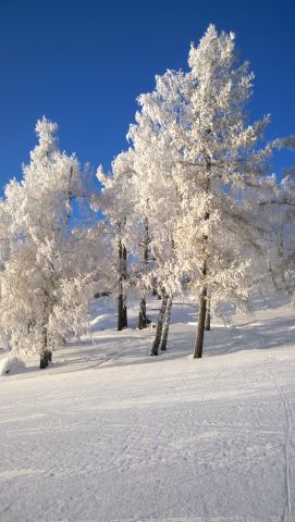 WP 20161202 10 24 58 Pro  highres