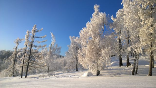 WP 20161202 10 24 32 Pro  highres