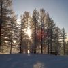 WP 20161202 10 21 30 Pro  highres