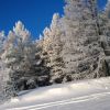 WP 20161202 10 35 21 Pro  highres