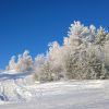 WP 20161202 10 37 27 Pro  highres
