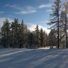 WP 20161209 14 33 58 Pro  highres