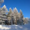 WP 20161202 10 35 26 Pro  highres