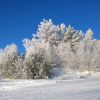 WP 20161202 10 36 50 Pro  highres