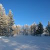 WP 20161202 10 35 08 Pro  highres