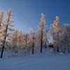 WP 20161202 15 59 09 Pro  highres