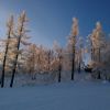 WP 20161202 15 59 03 Pro  highres