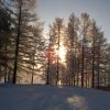 WP 20161202 10 21 40 Pro  highres