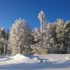WP 20161202 10 35 34 Pro  highres